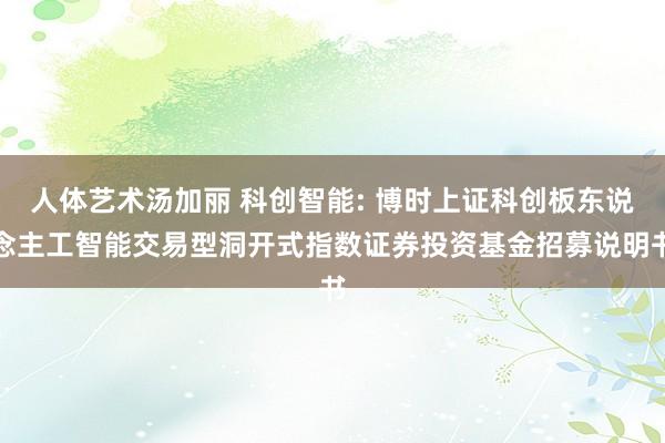 人体艺术汤加丽 科创智能: 博时上证科创板东说念主工智能交易型洞开式指数证券投资基金招募说明书