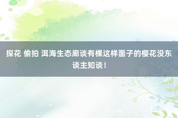 探花 偷拍 洱海生态廊谈有棵这样面子的樱花没东谈主知谈！