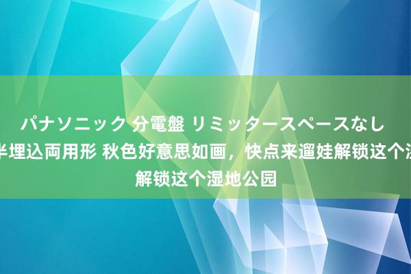 パナソニック 分電盤 リミッタースペースなし 露出・半埋込両用形 秋色好意思如画，快点来遛娃解锁这个湿地公园