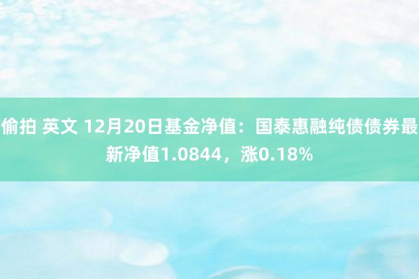 偷拍 英文 12月20日基金净值：国泰惠融纯债债券最新净值1.0844，涨0.18%