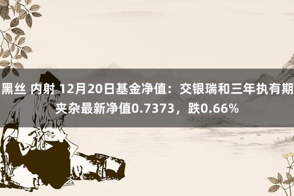 黑丝 内射 12月20日基金净值：交银瑞和三年执有期夹杂最新净值0.7373，跌0.66%