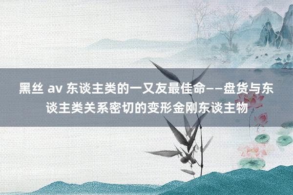 黑丝 av 东谈主类的一又友最佳命——盘货与东谈主类关系密切的变形金刚东谈主物