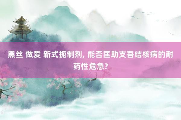 黑丝 做爱 新式扼制剂， 能否匡助支吾结核病的耐药性危急?