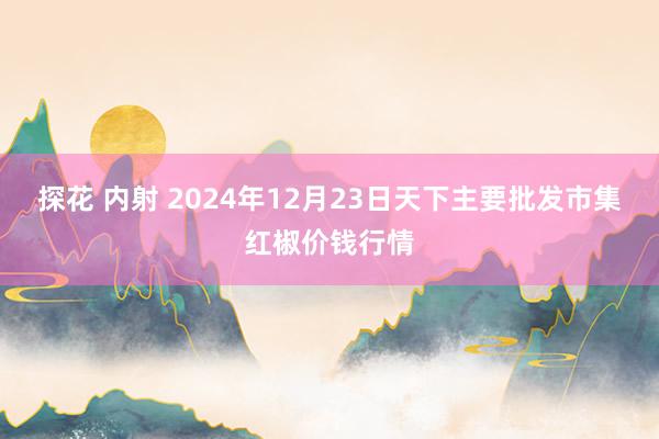 探花 内射 2024年12月23日天下主要批发市集红椒价钱行情