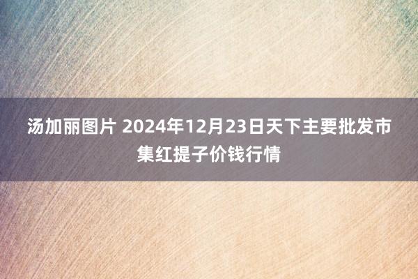 汤加丽图片 2024年12月23日天下主要批发市集红提子价钱行情