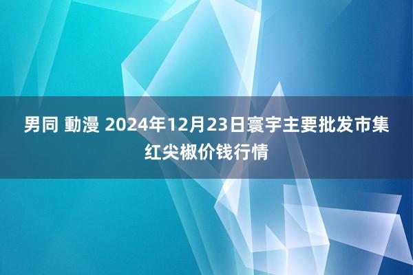 男同 動漫 2024年12月23日寰宇主要批发市集红尖椒价钱行情