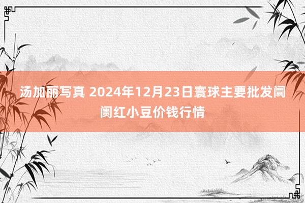 汤加丽写真 2024年12月23日寰球主要批发阛阓红小豆价钱行情