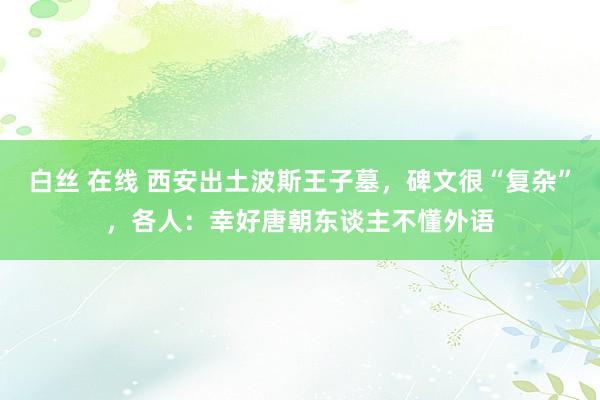 白丝 在线 西安出土波斯王子墓，碑文很“复杂”，各人：幸好唐朝东谈主不懂外语