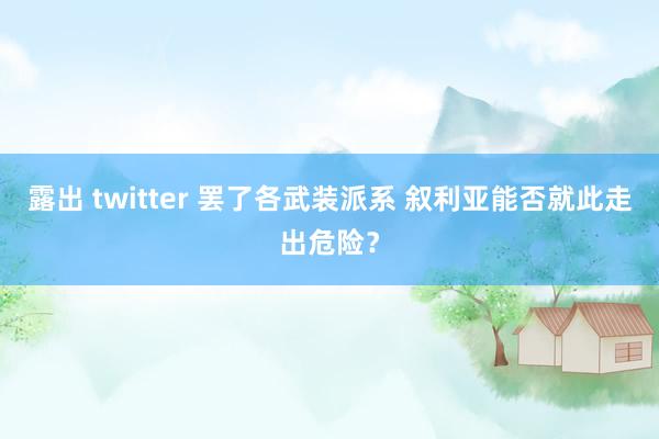 露出 twitter 罢了各武装派系 叙利亚能否就此走出危险？