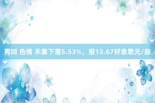 男同 色情 禾赛下落5.53%，报13.67好意思元/股