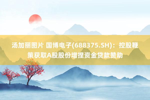 汤加丽图片 国博电子(688375.SH)：控股鞭策获取A股股份增捏资金贷款赞助