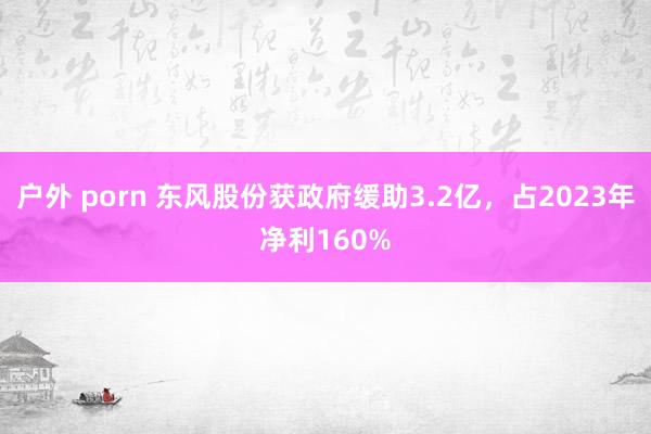 户外 porn 东风股份获政府缓助3.2亿，占2023年净利160%