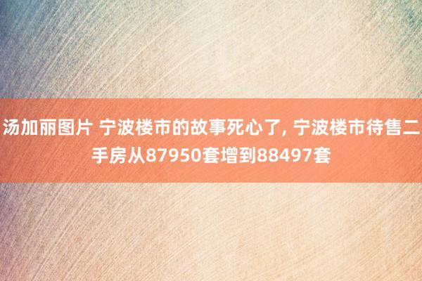 汤加丽图片 宁波楼市的故事死心了， 宁波楼市待售二手房从87950套增到88497套