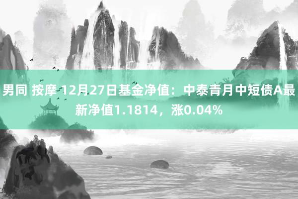 男同 按摩 12月27日基金净值：中泰青月中短债A最新净值1.1814，涨0.04%