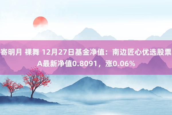 寄明月 裸舞 12月27日基金净值：南边匠心优选股票A最新净值0.8091，涨0.06%