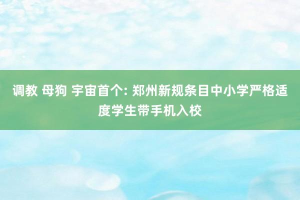 调教 母狗 宇宙首个: 郑州新规条目中小学严格适度学生带手机入校