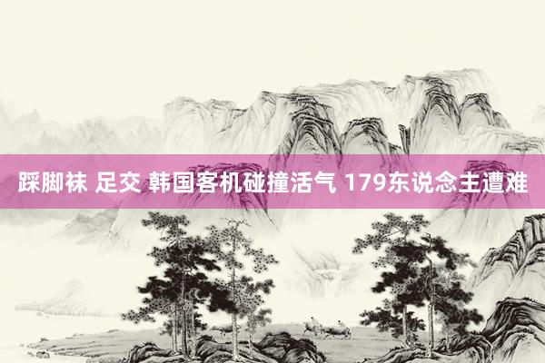 踩脚袜 足交 韩国客机碰撞活气 179东说念主遭难