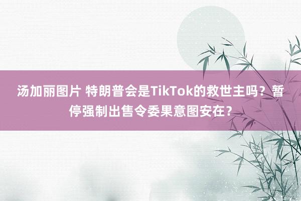 汤加丽图片 特朗普会是TikTok的救世主吗？暂停强制出售令委果意图安在？