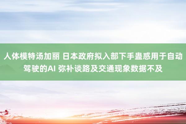 人体模特汤加丽 日本政府拟入部下手蛊惑用于自动驾驶的AI 弥补谈路及交通现象数据不及