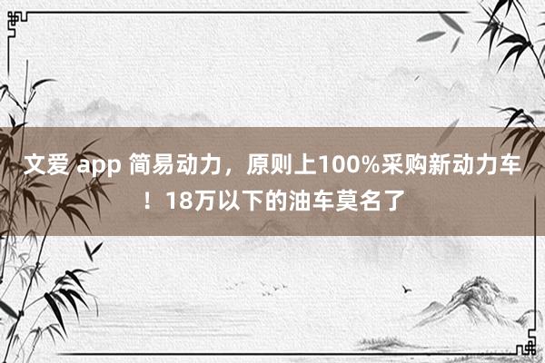 文爱 app 简易动力，原则上100%采购新动力车！18万以下的油车莫名了