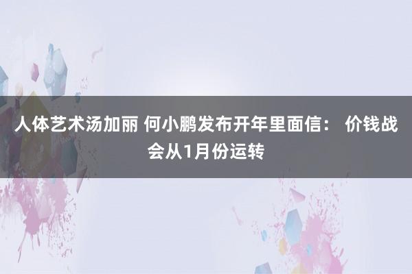 人体艺术汤加丽 何小鹏发布开年里面信： 价钱战会从1月份运转