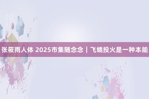 张筱雨人体 2025市集随念念｜飞蛾投火是一种本能