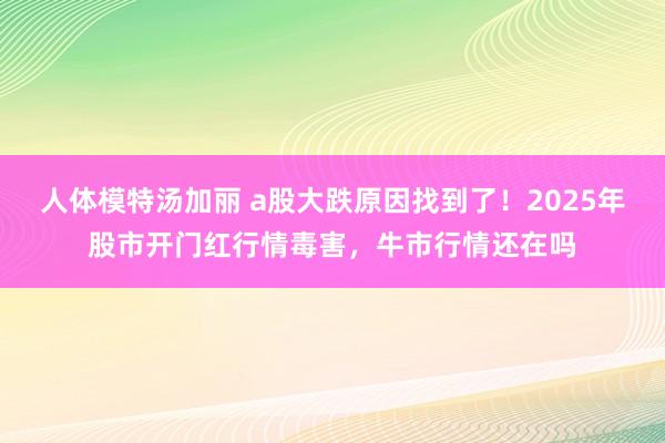 人体模特汤加丽 a股大跌原因找到了！2025年股市开门红行情毒害，牛市行情还在吗