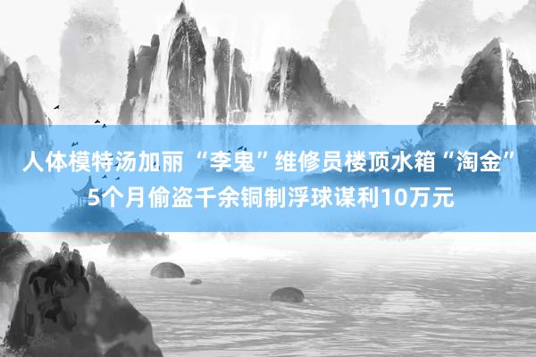 人体模特汤加丽 “李鬼”维修员楼顶水箱“淘金” 5个月偷盗千余铜制浮球谋利10万元