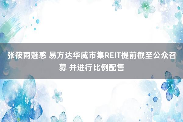 张筱雨魅惑 易方达华威市集REIT提前截至公众召募 并进行比例配售