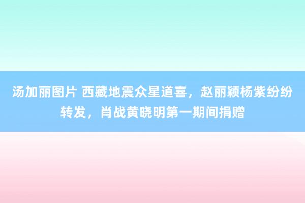 汤加丽图片 西藏地震众星道喜，赵丽颖杨紫纷纷转发，肖战黄晓明第一期间捐赠