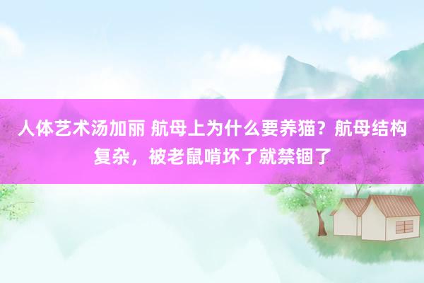 人体艺术汤加丽 航母上为什么要养猫？航母结构复杂，被老鼠啃坏了就禁锢了