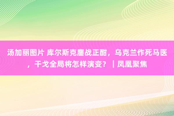 汤加丽图片 库尔斯克鏖战正酣，乌克兰作死马医，干戈全局将怎样演变？｜凤凰聚焦