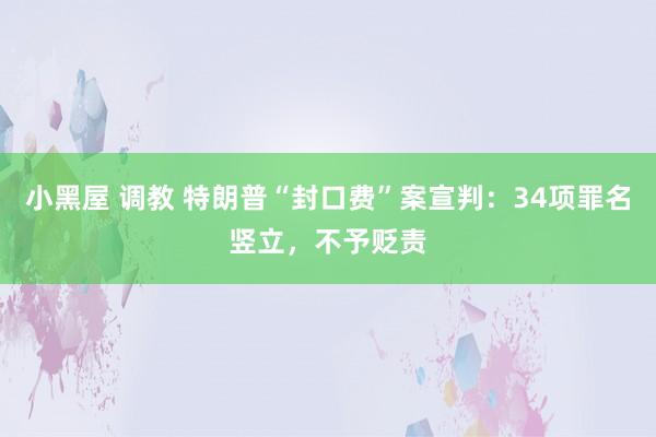 小黑屋 调教 特朗普“封口费”案宣判：34项罪名竖立，不予贬责