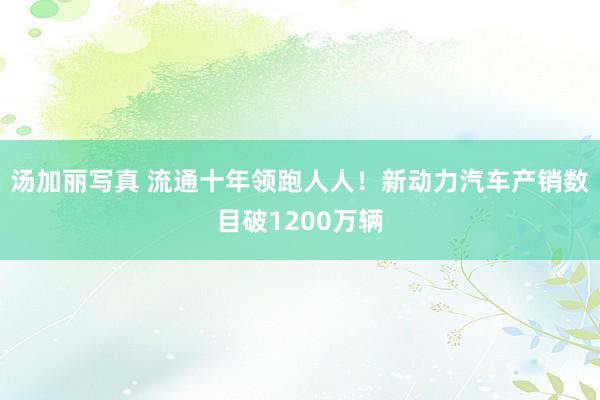 汤加丽写真 流通十年领跑人人！新动力汽车产销数目破1200万辆