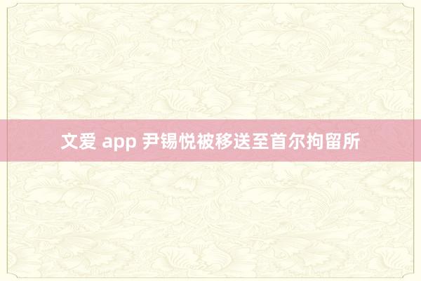 文爱 app 尹锡悦被移送至首尔拘留所