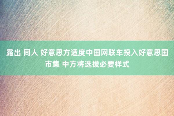 露出 同人 好意思方适度中国网联车投入好意思国市集 中方将选拔必要样式